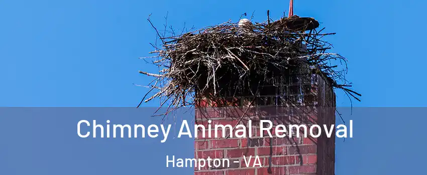 Chimney Animal Removal Hampton - VA